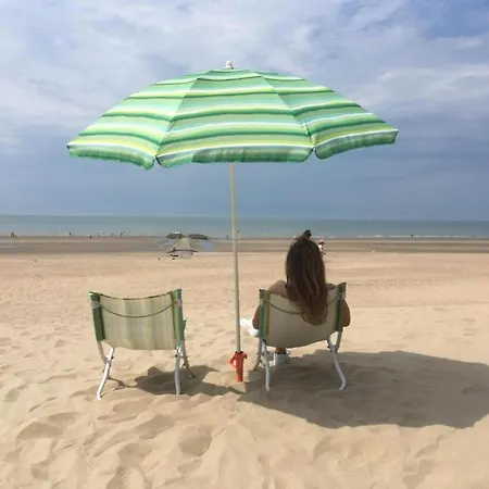 Villa In Near Hoge Blekker Dunes, Cleaning Included