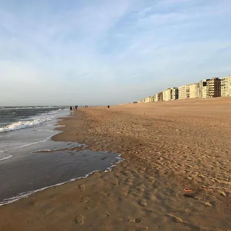 In Near Hoge Blekker Dunes, Cleaning Included Koksijde
