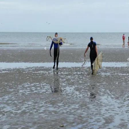 In Near Hoge Blekker Dunes, Cleaning Included Villa