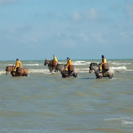 In Near Hoge Blekker Dunes, Cleaning Included Koksijde