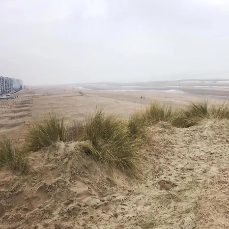 In Near Hoge Blekker Dunes, Cleaning Included * Koksijde